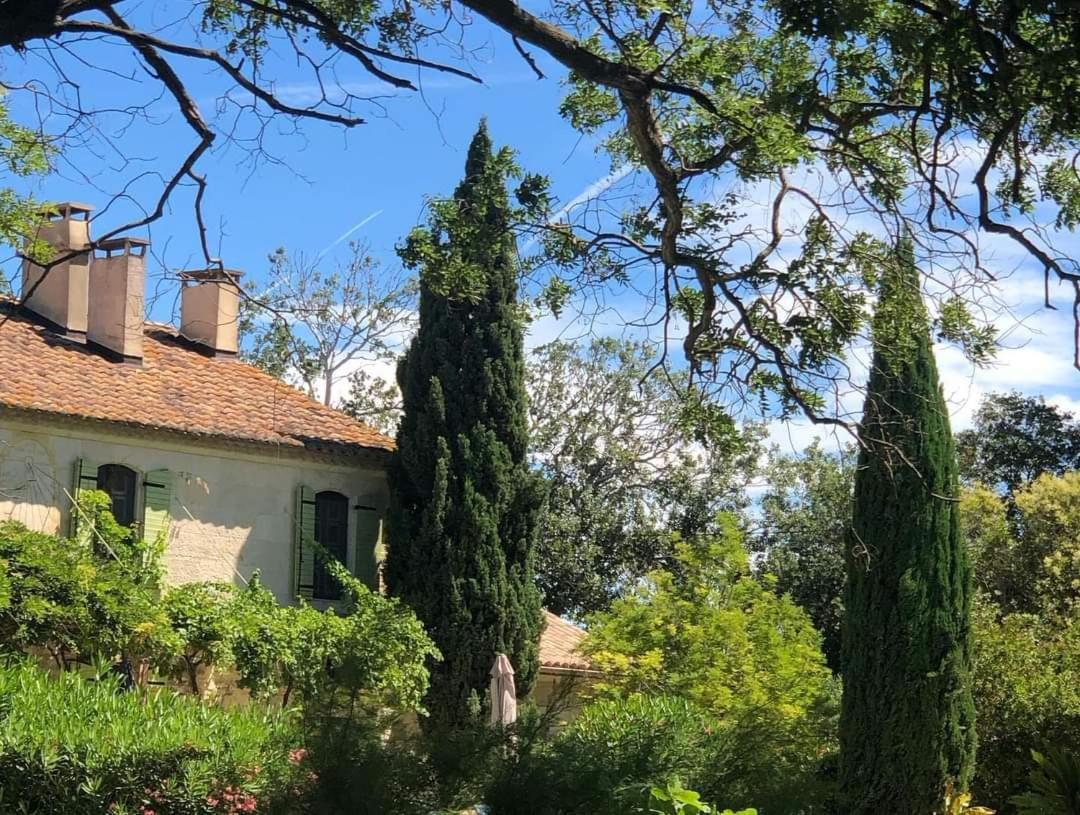 Le Mas Neuf 1752 Arles Exterior photo