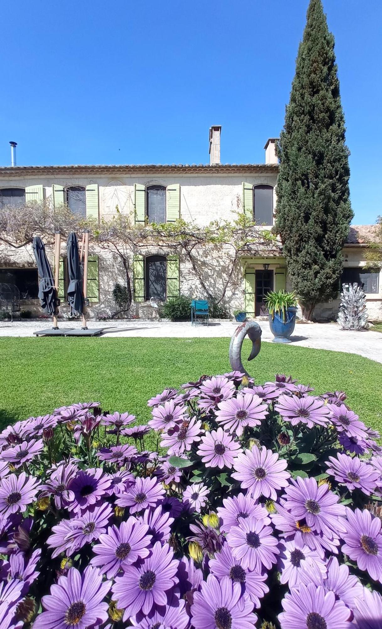 Le Mas Neuf 1752 Arles Exterior photo